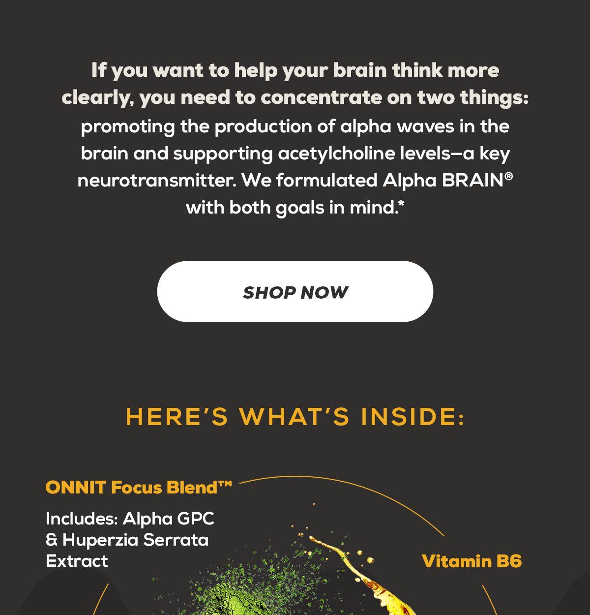 Shop Now: What's Inside