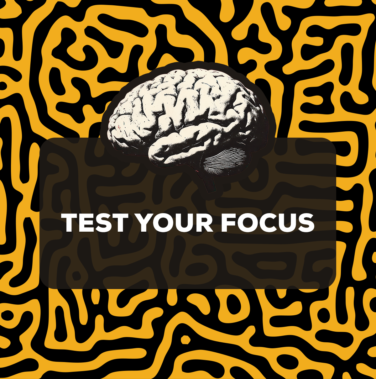 Test Your Focus
