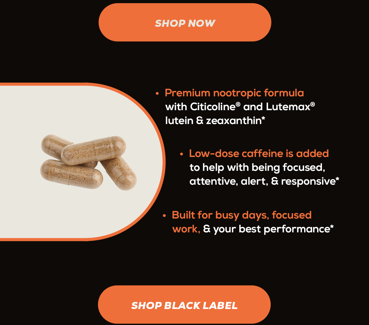 Alpha BRAIN® Black Label