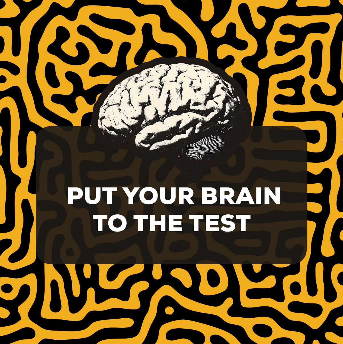 Put Your Brain to the Test