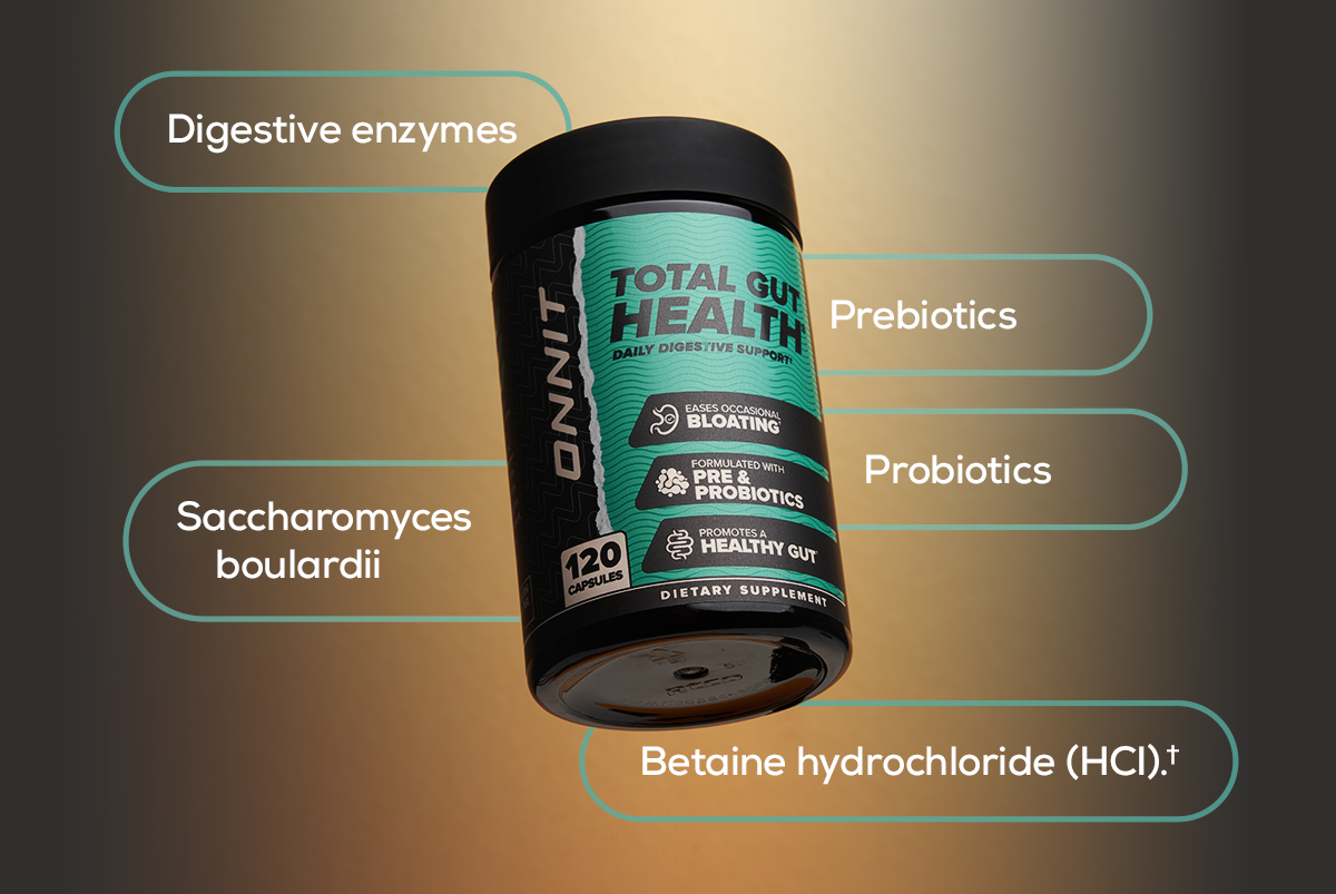 2025-TGH-World-Health-Day-Apr-Email-2