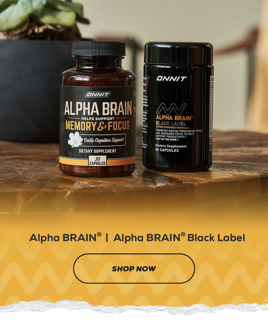 Alpha Brain and ABBL Shop Now