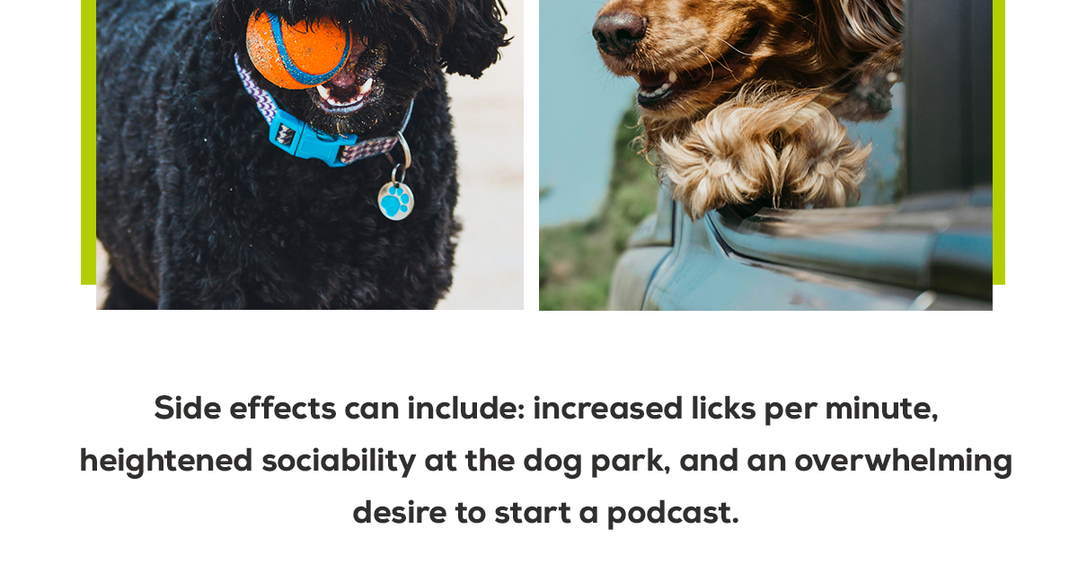 AprilFools-Apr-2025-Email-4