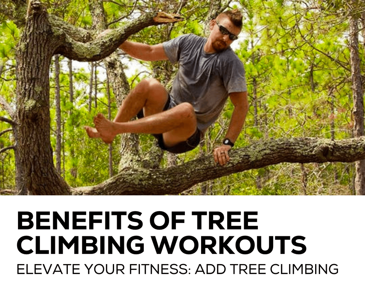 Elevate Your Fitness Add Tree Climbing