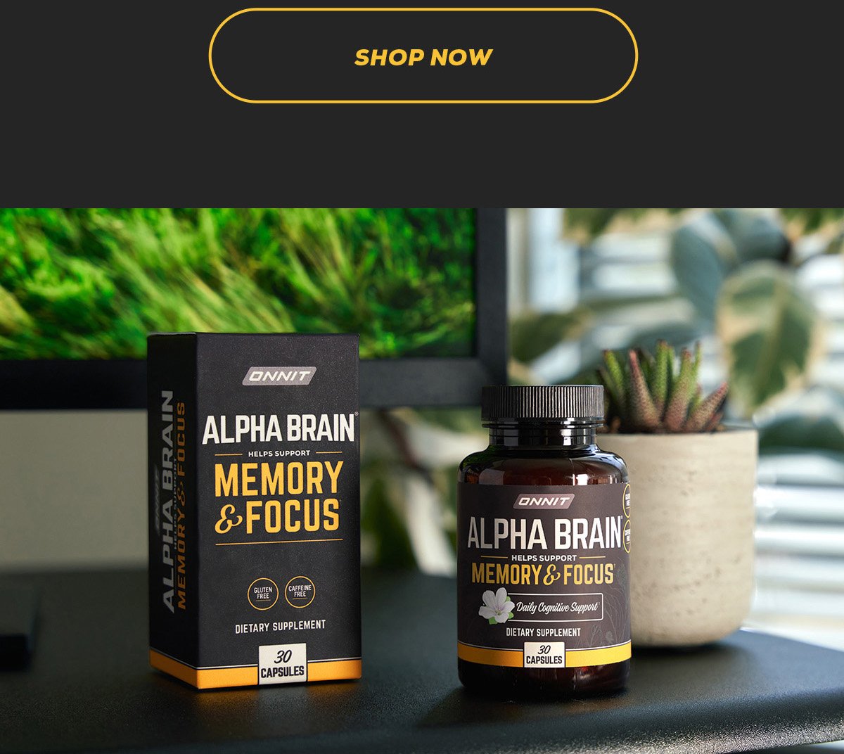 32% Off Alpha Brain On Amazon