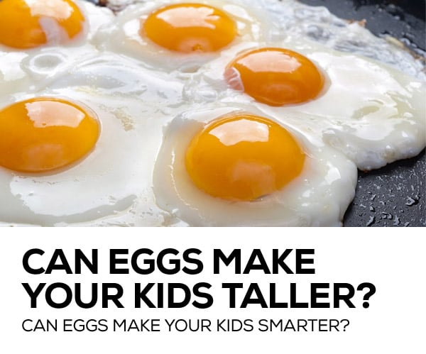 Can Eggs Make You Taller