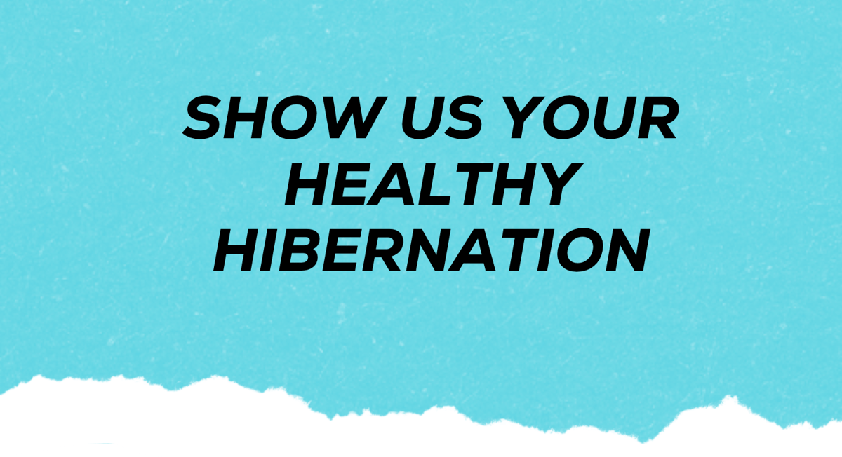 Show us your healthy hibernation