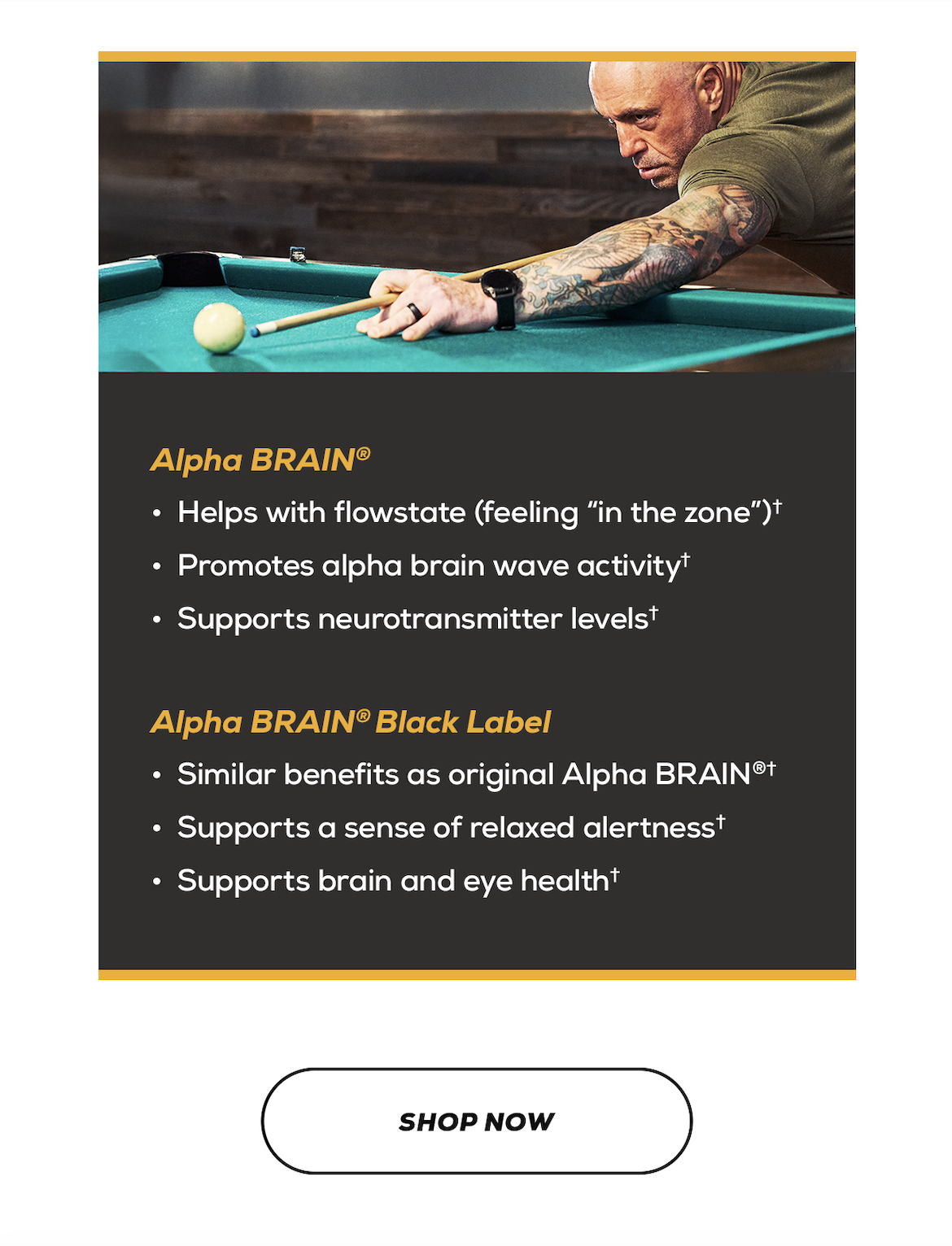 Shop Now Alpha Brain 25% Off