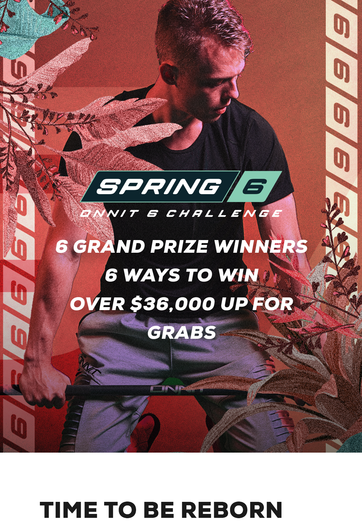 Spring 6 Challenge