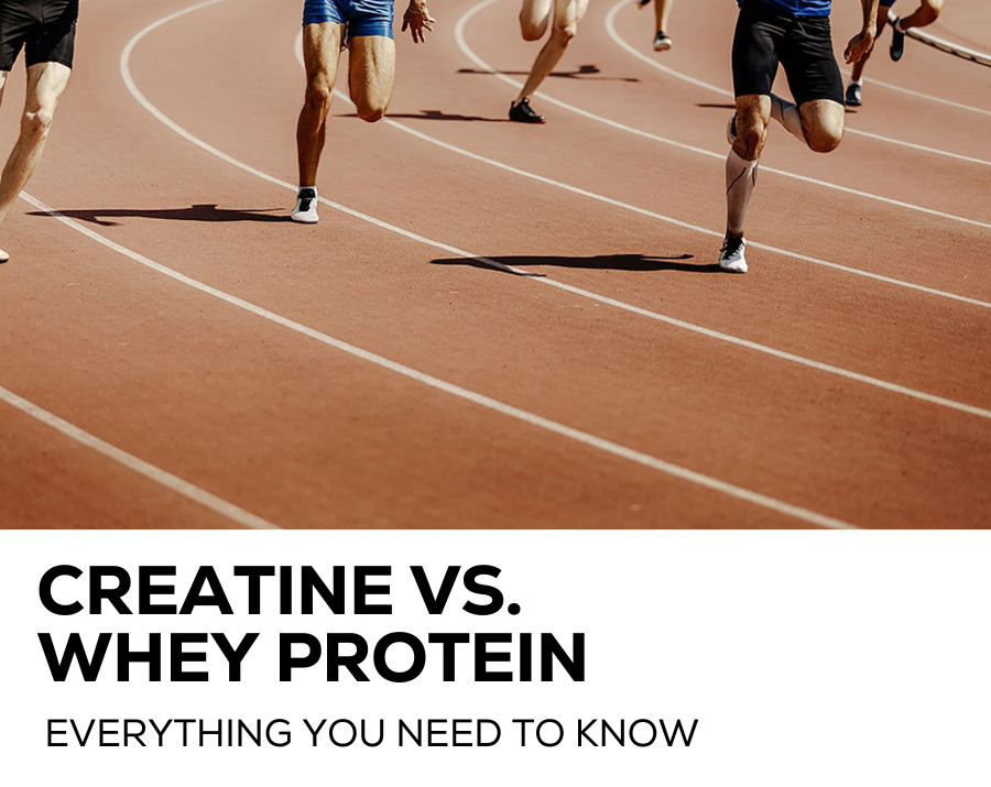 Creatine vs Whey protein