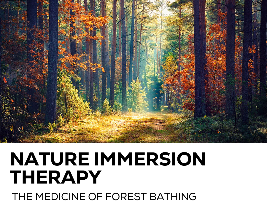 Nature Immersion Therapy