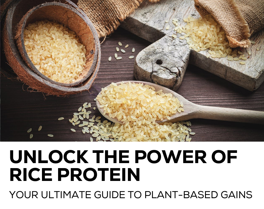 Unlock the power of rice protein
